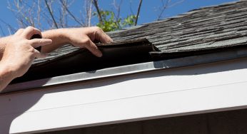 The Most Common Places Where You Could Find Mold on Your Roof
